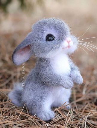 Needle Felted Bunny Rabbit, Needle Felted Bunnies, Needle Felt Rabbit, Needle Felted Rabbit, Needle Felt Bunny, Felted Bunnies, Felted Bunny, Cute Bunny Pictures