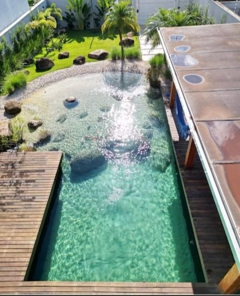 Purification Of Water, Beach Entry Pool, Dream Backyard Pool, Natural Swimming Ponds, Pool Landscape Design, Pool Cabana, Swimming Pond, Natural Swimming Pools, Pool Installation