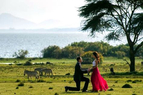 Proposal after a nature walk safari in Cresent Island Lake Naivasha. Safari Proposal, Lion King Wedding, Man Proposing, Safari Wedding, Island Lake, Room Painting, Nature Walk, Africa Safari, Dream Engagement