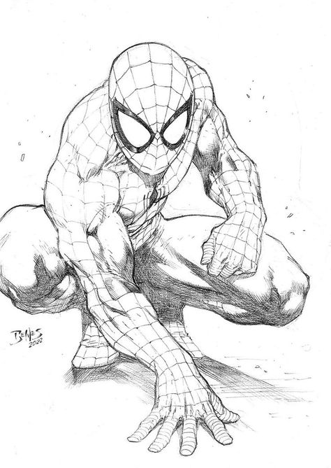 Spiderman Sketch Poses, Spiderman Ink Drawing, Spiderman Drawing Sketches Pencil, Spiderman Comic Drawing, Spiderman Comic Art Sketch, Sketsa Spiderman, Marvel Comics Art Sketch, Spiderman Pencil Drawing, Spiderman Art Drawing