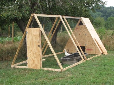 Do you want to build a duck house or coop for your new ducks? Here are 37 of the best free DIY duck house plans we've collected from all over the net. Duck Enclosure, Duck House Plans, A Frame Chicken Coop, Duck Pens, Backyard Ducks, Duck Coop, Chicken Barn, Portable Chicken Coop, Chicken Tractor