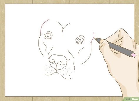 How to Draw a Pitbull (with Pictures) - wikiHow Pitbull Art Drawing, Pit Bull Drawing, Pitbull Drawing, Dog Drawing Tutorial, Bull Painting, Pitbull Art, Paintings Tutorials, Pitbull Pictures, Draw Two