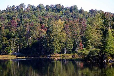 Old Forge Ny, Water Theme Park, Adirondack Park, Old Forge, Camping Resort, Mountain Vacations, Photography Gallery, Vacation Packages, Outdoor Adventures