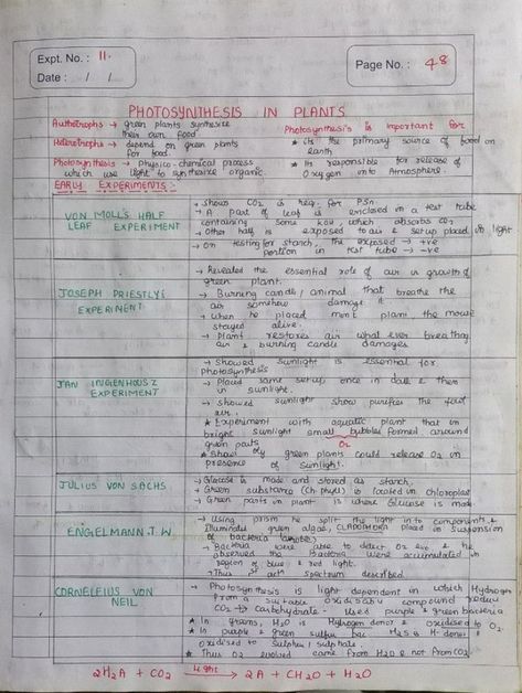 Notes of Photosynthesis in Plants till Chemiosmotic Hypothesis of chapter of Unit Human Physiology. Plant Physiology Notes, Chemiosmotic Hypothesis, Photosynthesis In Higher Plants Notes, Photosynthesis In Higher Plants, Plant Experiments, Biochemistry Notes, Neet Notes, Learn Biology, Human Physiology