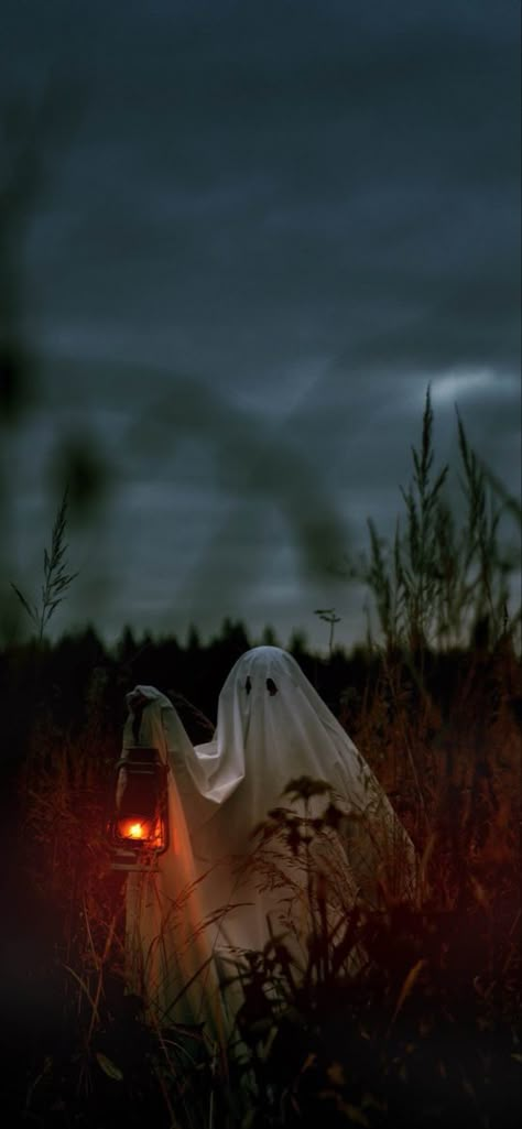 Halloween Aesthetic Spooky Wallpaper, Halloween Iphone Background Aesthetic, Halloween Time Wallpaper, Halloweencore Wallpaper, Phone Wallpaper Halloween Aesthetic, Halloween Nature Wallpaper, Spooky Fall Aesthetic Dark, Horror Fall Aesthetic, Foggy Halloween Aesthetic