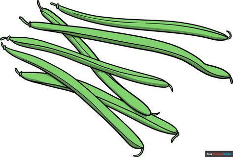 Learn How to Draw Green Beans: Easy Step-by-Step Drawing Tutorial for Kids and Beginners. See the full tutorial at https://easydrawingguides.com/how-to-draw-green-beans/ . Coffee Beans Drawing, Beans Drawing, Bean Drawing, Green Beans Easy, Dragon Tongue Beans, Onion Drawing, Yellow Wax Beans, Tool Crafts, Beans Image