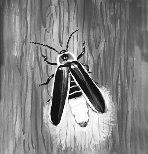 Firefly Illustration Vintage, Lightening Bug Drawing, Lightning Bug Drawing, Firefly Sketch, Firefly Crafts, Firefly Illustration, Lamp Reference, Firefly Drawing, Lightening Bugs