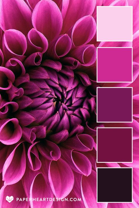 MAGENTA DAHLIA Loving this intense almost monochromatic look   HEX CODES: #23111d #731140 #781857 #cf2a93 #fbd0ec Current Color Trends 2023, Colors That Go With Magenta, Fusia Pink Color Palette, Seductive Color Palette, Fuschia Palette, Valentine’s Day Color Palette, Pink Black Color Palette, Fuschia Color Palette, Viva Magenta Color Palette