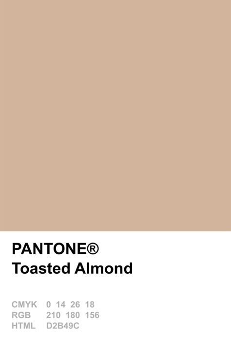 Pantone Colours, Pantone Colour Palettes, Pantone Colors, Beige Aesthetic, Pantone Color, Color Swatches, Colour Palettes, Colour Palette, Color Inspiration