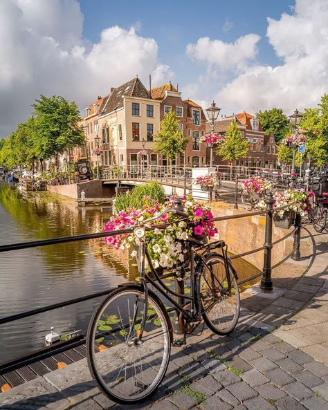 Netherlands on Instagram: “Typical Dutch sight! 🌺🍃 Stunning photo, by @martijnvandernat.nl  Follow us and use the hashtag  #bestofnetherlands  Selected by @debyanna…” Leiden Netherlands, Get Paid To Travel, Paid To Travel, Anchorage Alaska, Netherlands Travel, Europe Photos, Beautiful Cities, Savannah Georgia, Beautiful City