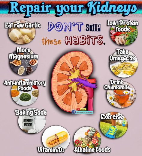 #kidneydisease #kidneyfailure #dialysis #diabetes #highbloodpressure #creatinine #kidneyrepair #kidneyhealth #00kidney Healthy Liver And Kidney Diet, Kidney Remedies Natural, Juice For Kidney Health, Natural Remedies For Kidneys, Kidney Care Tips, Drinks For Kidney Health, Foods Good For Kidney Function, Kidney Cleanse Remedies, Best Foods For Kidney Health