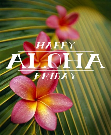 happy aloha friday Hawaii Quotes, Hawaiian Quotes, Happy Aloha Friday, I Need Vitamin Sea, Travel Smart, Aloha Friday, Weekend Quotes, Hawaiian Culture, Aloha Spirit