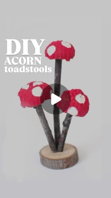 Donni :: waldorf.everyday on Instagram: "Make an acorn toadstool with me in 8 seconds! 

I collected the acorn caps from under the oak tree in my garden. And the sticks too. 
My hot glue gun and acrylic paint.
VOILA! The cutest little DIY acorn toadstools!!
 
They up level the magic level when stick in a pot plant!

They make your gift wrapping very cute!

They are perfect for your fairy garden! 

💗 Donni" Fairy Woodland, Acorn Caps, Under The Oak Tree, 8 Seconds, Pot Plant, Tea Party Garden, Woodland Garden, Glue Gun, Oak Tree