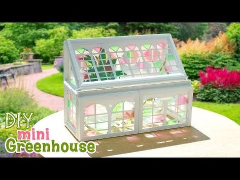 (74) DIY Desk Greenhouse – How To Make Mini Greenhouse Plant Nursery From Photo Frames - YouTube Diy Mini Greenhouse, Greenhouse Window, Miniature Greenhouse, Pot Storage, Planting Pot, Mini Library, Greenhouse Plants, Mini Greenhouse, Diy Greenhouse