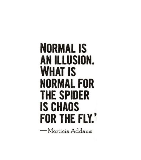 Positive Disintegration, Normal Is An Illusion, Illusion Quotes, Stranger Quotes, Normal Quotes, Door Quotes, What Is Normal, Childhood Quotes, Morticia Addams