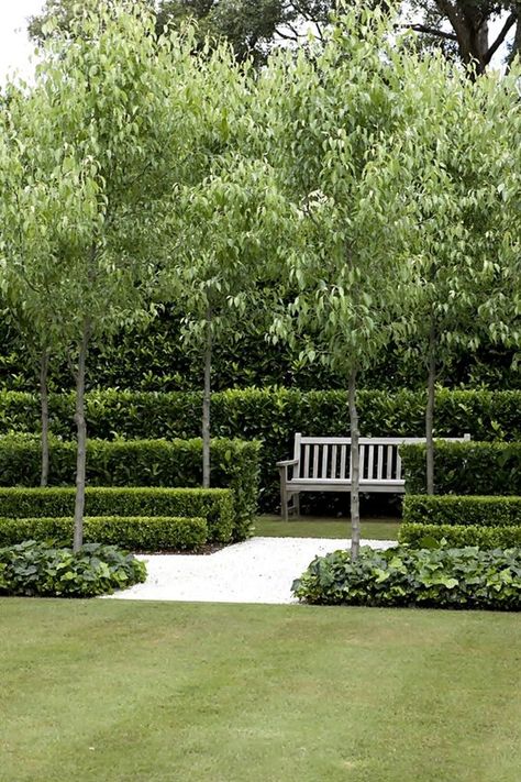 ... Layered Hedges Front Yards, Layered Hedge Landscaping, Layered Hedge, Peter Fudge, Layered Garden, French Formal Garden, Landscape Fence, Relaxing Garden, Formal Garden Design