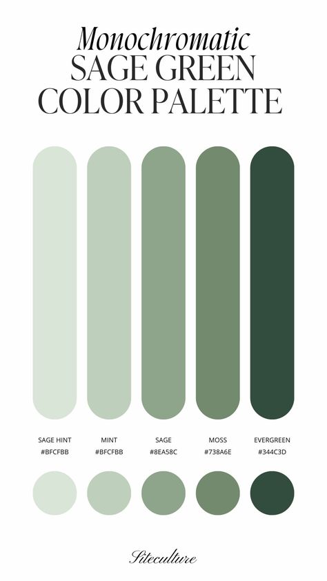 5 Gorgeous Sage Green Color Palettes You Need to See - Siteculture Earth Green Colour Palette, Cool Greens Palette, Green Interior Colour Palette, Color Palette Of Green, Sage Green Shades Colour Palettes, Colors Green Palette, Colors That Look Good With Sage Green, Green Paint Room Ideas Bedroom, Sage Green Colour Pallete