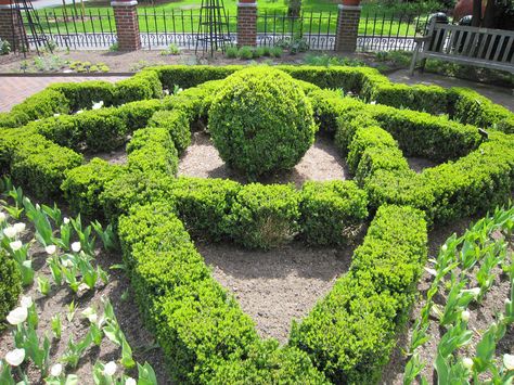 boxwood knot garden Knot Garden Design, Garden With Seating, Knot Garden, Mha Dr, Formal Garden, Garden Design Ideas, Balcony Garden, Hedges, Garden Inspiration