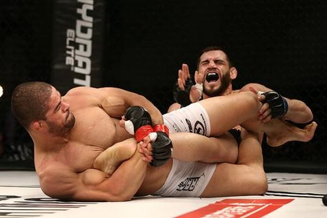 Sherdog.com has done the dirty work, leaving no stone unturned in finding the past year's most exciting-yet-obscure MMA gems. This list features 10 of the year's greatest submission which happened outside of the UFC and Bellator, showcasing the year's most creative, dramatic and devastating submissions outside MMA's biggest promotions. Wrestling Reference, Epic Photos, Odd Stuff, Weird Pictures, Tag Team, Martial Art, Mixed Martial Arts, Pro Wrestling, Ufc