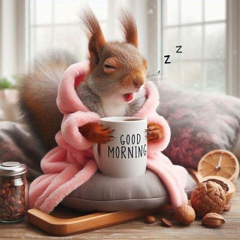 Good Morning Squirrel, Text Messages Humor, Funny Squirrel Pictures, Soothing Images, Squirrel Pictures, Beautiful Good Night Quotes, Funny Animals With Captions, Good Morning Funny Pictures, Squirrel Funny