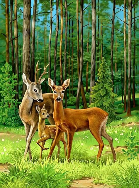 Regnul Animal, Deer Pictures, Deer Painting, Deer Family, Deer Art, Wildlife Paintings, Arte Animal, Wildlife Animals, Cute Animal Drawings