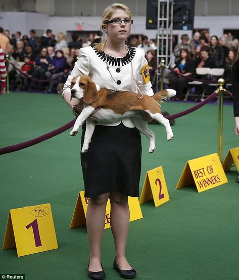 Dog Show Suits Women, Dog Show Handler Outfit, Dog Show Handler Outfits Women, Dog Show Outfits, Dog Show Outfits Women, Dog Event, Westminster Dog Show, Code Dress, Best In Show