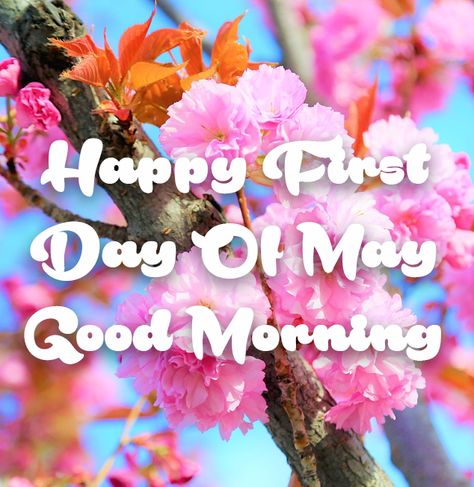 Spring First Day Of May Good Morning may months hello may quotes first day of may quotes happy first day of may quotes good morning may Happy First Of May, First Of May Quotes, 1st Of May Quotes, 1st May Quotes, Happy May 1st Quotes, May 1st Quotes Month, Happy First Day Of May, Good Morning Saturday Wishes, Hello May Quotes