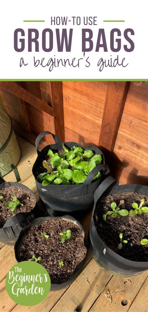 Planting Bags Gardens, How To Fill Grow Bags, Gardening In Bags, Growing In Bags, Container Garden Set Up, Grow Bag Size Chart For Vegetables, Growing Bags Gardening, Planting In Grow Bags, Grow Bag Garden Layout