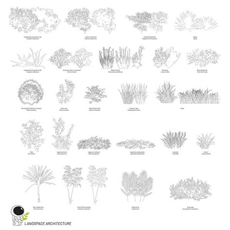 Tree Elevation, Vector Landscape Illustration, Landscape Architecture Diagram, Book Portfolio, Store Architecture, Vector Landscape, Interior Architecture Drawing, Vector Trees, Soil Layers