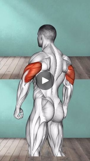 6.9K views · 3.2K reactions | 💪 Triceps Workout: Home vs. Gym 💪  Discover the best triceps exercises you can do both at home and in the gym! 🏠🏋️‍♂️ Whether you have no equipment or full access to a gym, these workouts will help you build strong, toned triceps. Follow along to see the differences and choose the best routine for you. Don’t forget to save, share, and tag a friend who’s ready to get those arms pumped! 🚀  🔻 Tap for the full comparison workout 🔻  #TricepsWorkout #HomeWorkout #GymWorkout #FitnessGoals #StrengthTraining #ArmDay #FitFam #WorkoutRoutine #FitnessMotivation #GetFit #ExerciseAnywhere #ToneYourArms #WorkoutInspiration #StrongWomen | GYM_FANS_CLUB | nx7_editzz · 🎮🔥 Best Routine, Triceps Exercises, Tricep Workout, Workout Home, Arm Day, Triceps Workout, In The Gym, 1k Views, Be Strong