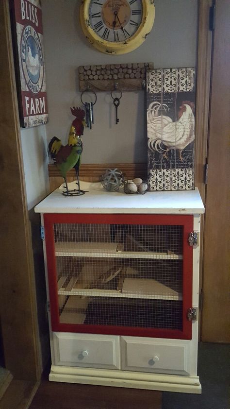 Old dresser repurposed into an indoor serama chicken coop. Quail Coop Dresser, Indoor Quail Coop, Chicken Furniture, Backyard Livestock, Chicken House Plans, Indoor Chicken, Chicken Herbs, Quail House, Serama Chicken