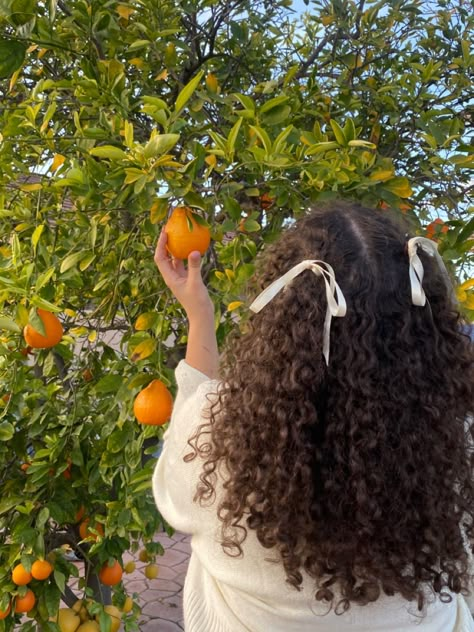 Insta: Mrrl.karen 🍊Curly hairstyle, curly hair bows, white ribbon hair, orange tree, summer aesthetic Pined Back Hair Hairstyles, Girl With Bow In Hair Aesthetic, Hair Ribbon Curly Hair, Curly Hair Back View Aesthetic, Curly Hair Bows Hairstyles, Cottage Core Hairstyles Curly, Hair Bows Curly Hair, Curly Bow Hair, Hair Ribbon Hairstyles Aesthetic