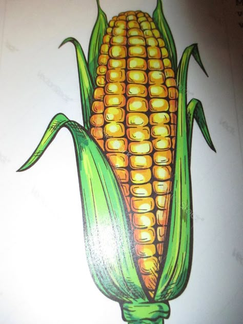 fall art lesson - ZEROTHRUFIVE Corn Sketch, Corn Tattoo, Sunflower Drawing Easy, Corn Drawing, Corn Painting, Fruit Art Drawings, Colored Pencil Art Projects, Arte Aesthetic, Buddhist Art Drawing