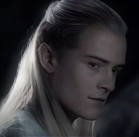 Lotr Pfp, Legolas Icon, Lotr Legolas, Legolas And Gimli, Legolas Greenleaf, Merry And Pippin, Canine Art, Orlando Bloom, Thranduil