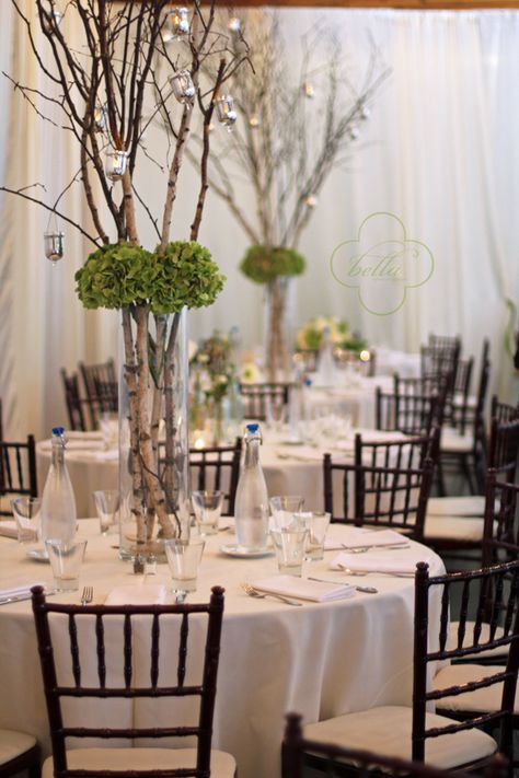 Centerpieces Aspen Tree Centerpieces, Tall Rustic Centerpieces, Masculine Wedding Centerpieces, Birch Tree Centerpieces, Nature Centerpieces, Wedding Forest Theme, Amazing Centerpieces, Masculine Centerpieces, Candles Hanging