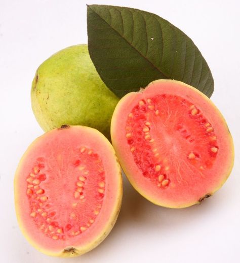 Guayaba Guava Benefits, Guava Tree, Guava Fruit, Guavas, Pink Guava, Pregnancy Problems, Healthy Seeds, Pregnant Diet, Tropical Tree