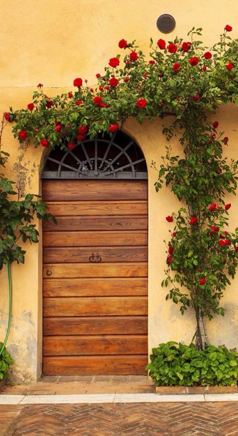 When One Door Closes, Gorgeous Doors, Siena Italy, Cool Doors, Montepulciano, Door Gate, Ocean Wallpaper, Old Doors, Unique Doors