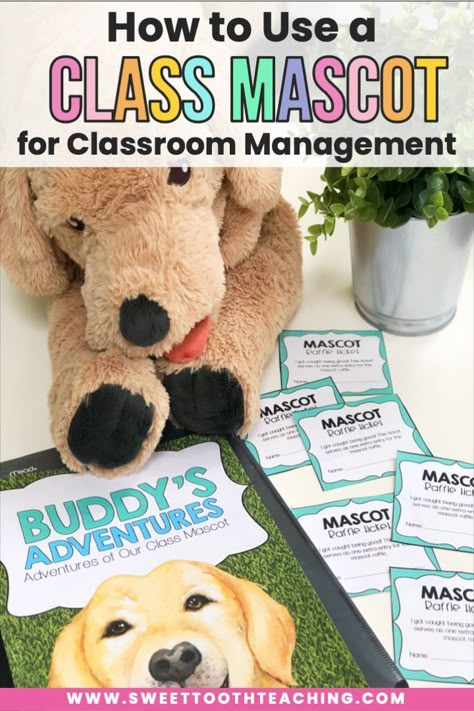 Behavioral Classroom Ideas, Classroom Surprise Ideas, Specials Classroom Management, Animal Classroom Activities, Preschool Class Management Ideas, Preschool Management Ideas, Classroom Stuffed Animal, Preschool Behavior Management Ideas, Stuffed Animal Day At School Activities