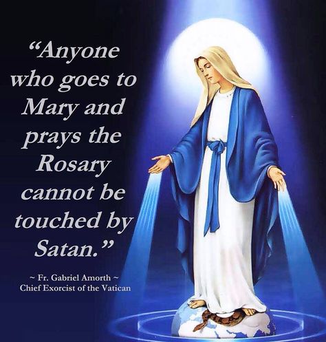 Queen Of Peace Our Lady Of Immaculate Conception, Blessed Mary, Saint Quotes Catholic, Queen Of Heaven, Praying The Rosary, Lady Of Fatima, Holy Rosary, Immaculate Conception, Blessed Mother Mary