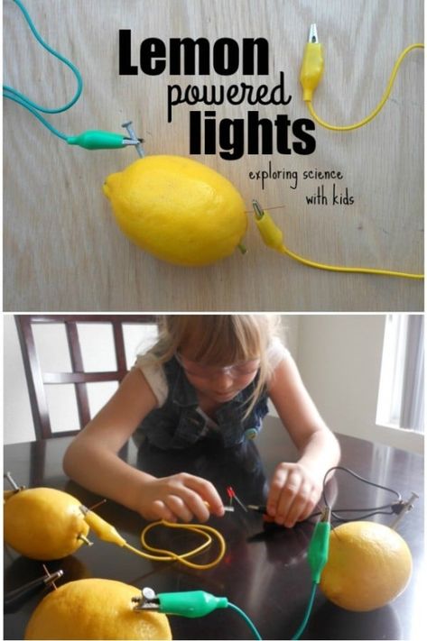 Science Fair Projects For Elementary, Using Lemons, Science Electricity, Science Club, Fair Projects, Face Wrinkles, Science Fair Projects, Elementary Science, Homeschool Science