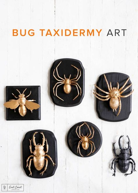 5 DIY Halloween decorating ideas including this Bug Taxidermy Art.   #halloweendecorations #halloweendecor Hollow Core Door Makeover, Diy Halloween Art, Bug Taxidermy, Hollow Core Door, Cheap Furniture Makeover, Craft Tables, Halloween Kunst, Hollow Core Doors, Taxidermy Art