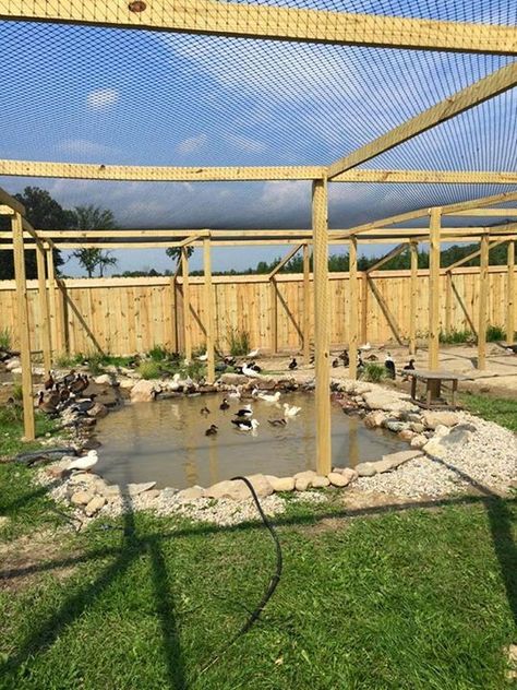 Large Chicken Run, Duck Enclosure, Aviary Ideas, Duck Pool, Reban Ayam, Duck Garden, Duck Pens, Backyard Ducks, Duck Coop