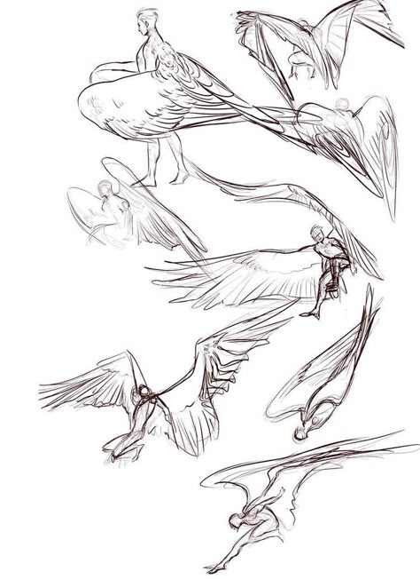 Winged People, Wings Drawing, Wings Art, Concept Art Drawing, Creature Concept Art, Anatomy Art, Art Tutorials Drawing, Art Poses, Pose References