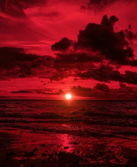 Red Aesthetic Sunset, Rosso Aesthetic, Red Core Aesthetic, Wallpaper Android, Red Aesthetic Grunge, Red Rising, Red And Black Wallpaper, Dark Red Wallpaper, Red Pictures