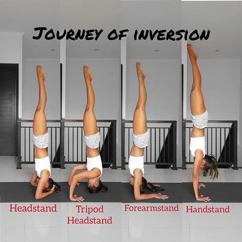 Handstand For Beginners, Handstand Workout, Yoga Handstand Poses, Handstand Training, Hata Yoga, Yoga Inspiration Photos, Yoga Inversions, Yoga Handstand, Yoga Kundalini