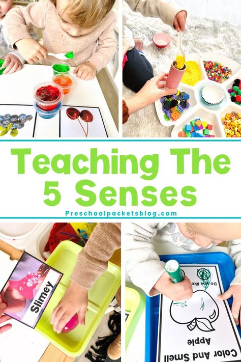 5 Senses Craft, My 5 Senses, 5 Senses Preschool, Science Center Preschool, Five Senses Preschool, 5 Senses Activities, Teaching Preschoolers, Senses Preschool, The 5 Senses