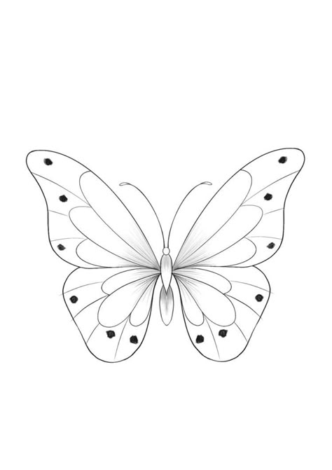 Butterfly Drawing Pattern, Simple Butterfly Drawing, Butterfly Drawing Outline, Borboleta Tattoo, Quilling Butterfly, Butterfly Tattoo Stencil, Butterfly Outline, Butterfly Stencil, Butterfly Art Painting