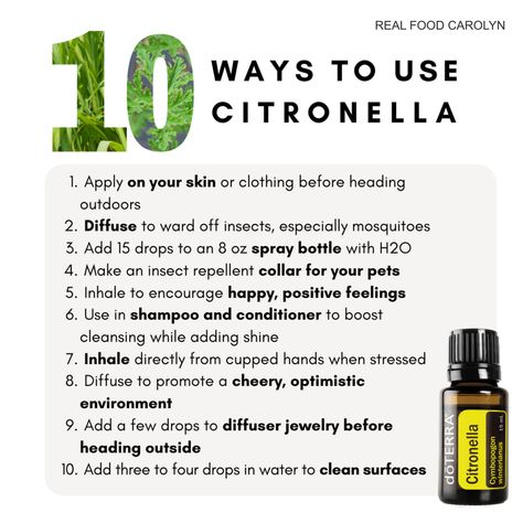 Citronella Essential Oil, Essential Oil Companies, What Are Essential Oils, Citronella Oil, Lemon Eucalyptus, Doterra Oils, Feeling Positive, Oil Uses, Fractionated Coconut Oil