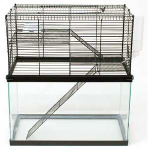 Small Animal High Rise Topper for 10 Gallon Tanks Gerbil Cages, Mouse Cage, Cage Hamster, Animal Cage, Hamster Cages, Turtle Tank, Small Animal Cage, Hamster Cage, Rabbit Hutches