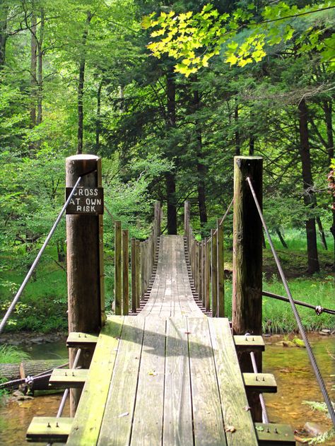 During your 10 mile loop hike into and out of the wild area, cross the picturesque footbridge that passes over Hammersley Fork... Camping In Pennsylvania, Hiking Places, Pennsylvania Travel, Camping Locations, On The Road Again, Off The Grid, Weekend Trips, Travel Bucket, Camping Trips